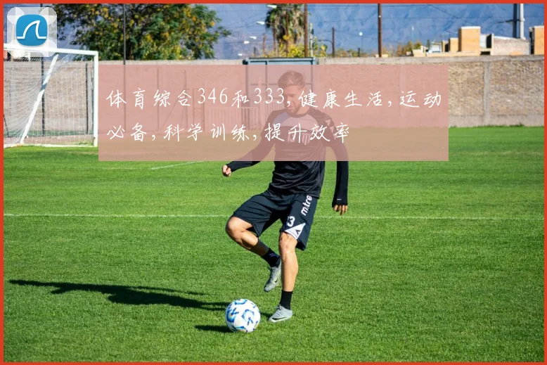 体育综合346和333,健康生活,运动必备,科学训练,提升效率