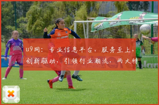 u9网：专业信息平台，服务至上，创新驱动，引领行业潮流，两大特色功能，助您一臂之力